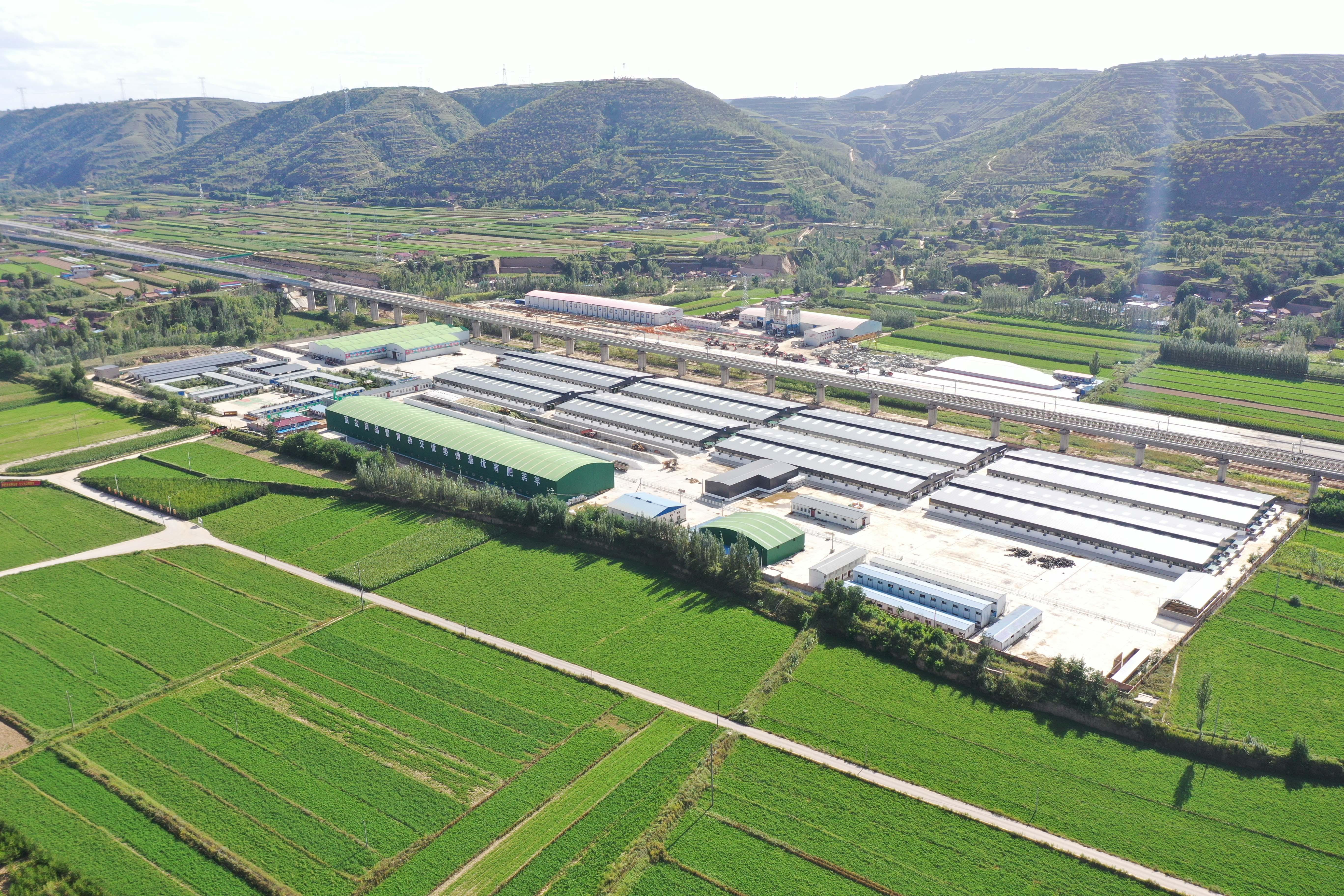 信息技术服务 第21页