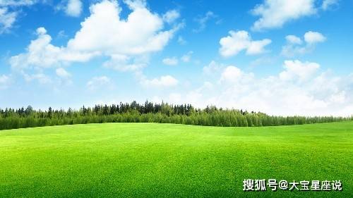 王吉海最新命理，自然之旅中的心灵邂逅与平和探寻