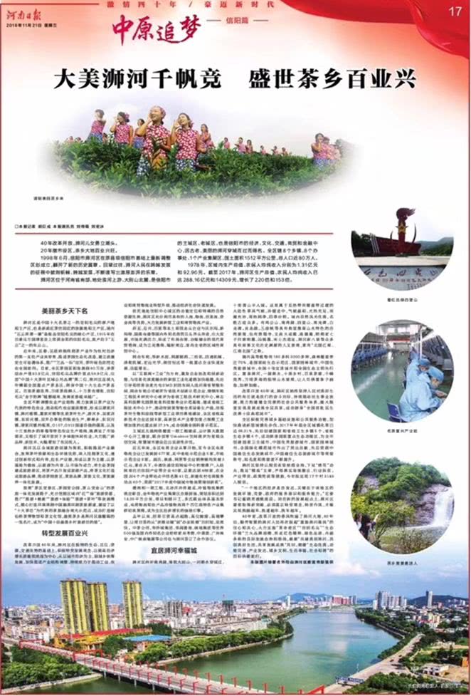 清风信阳最新动态，茶韵中的温情故事