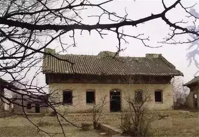 邓兆桃最新动态揭秘，小巷深处的独特风味探秘