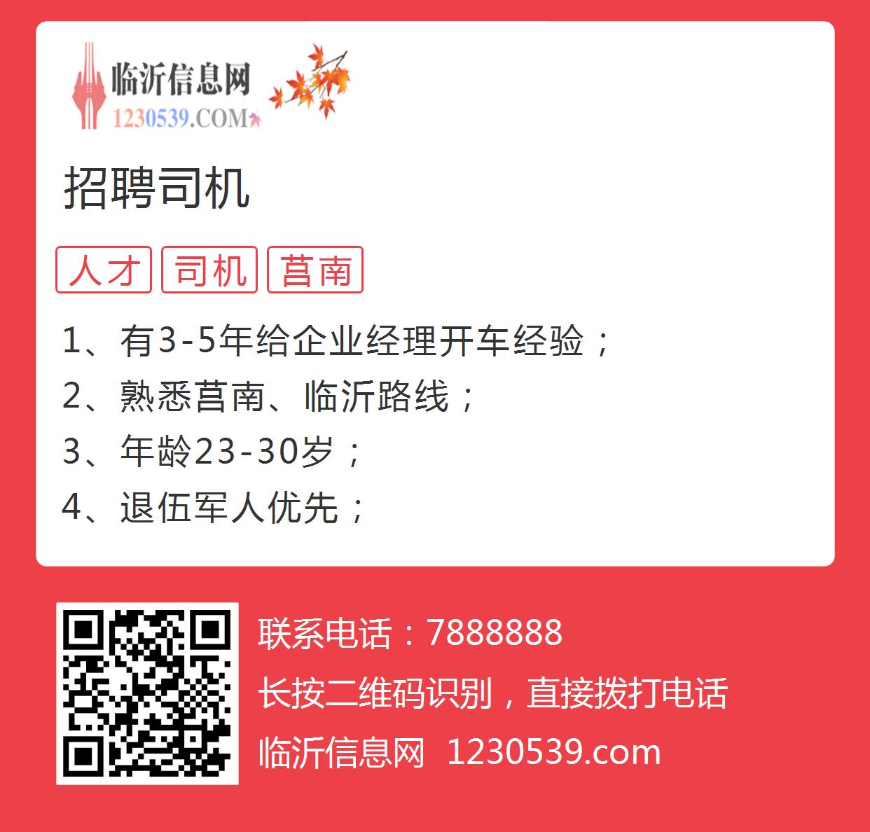枝江司机招聘最新消息揭秘，小巷特色小店背后的驾驶人才招募行动
