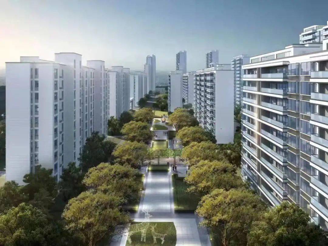 临泉最新楼盘开盘价概览
