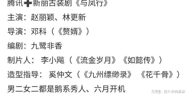 九鹭非香最新小说深度探讨，启示与影响