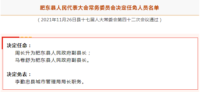 肥东县最新人事任免动态及观点论述