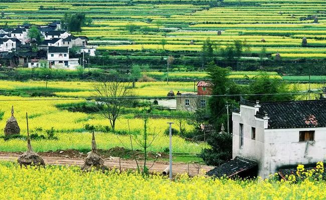 农村开荒地政策解读，新政策下的田园生活趣事