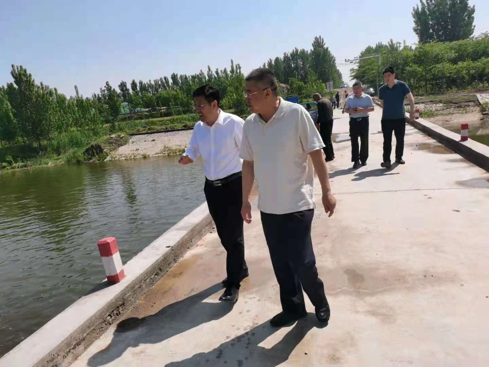 杨家安最新消息，技能提升与任务完成指南——适合初学者与进阶用户参考