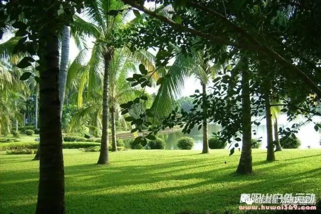 佛山植物园最新动态，变化中的学习之旅，自信与成就感的源泉