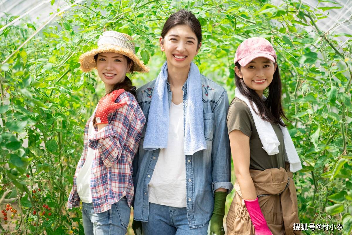 留学姑娘回村创业，年销售额达2500万的创业之路与步骤指南