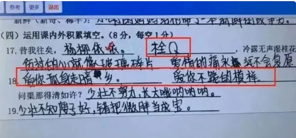 栓Q之旅，小学生组词组的自然探索与内心平静的追寻