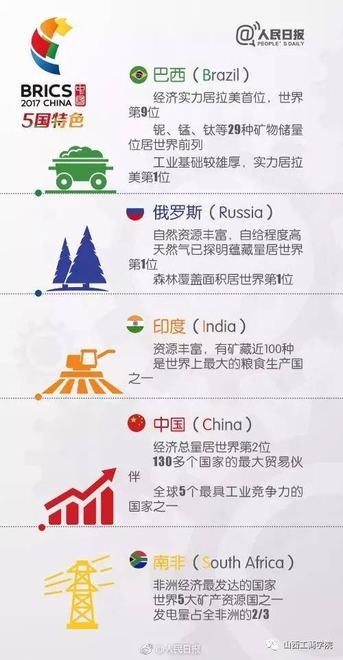 金砖国家的含金量揭秘，数字解读与巷弄深处的独特小店探秘