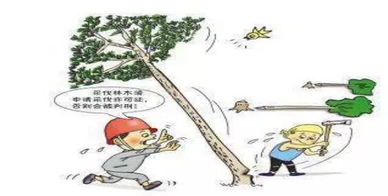 黄河湿地滥伐事件，守护者的胜利与林木重生启示