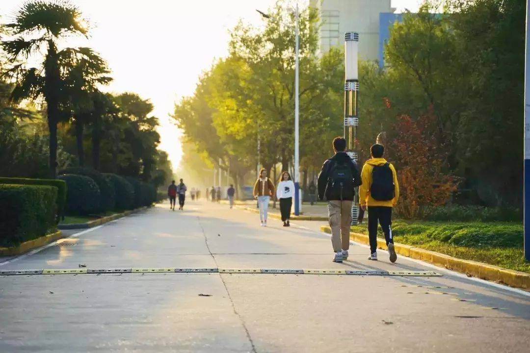 近千家庭收获长安街鲜花之美，鲜花配送任务揭秘