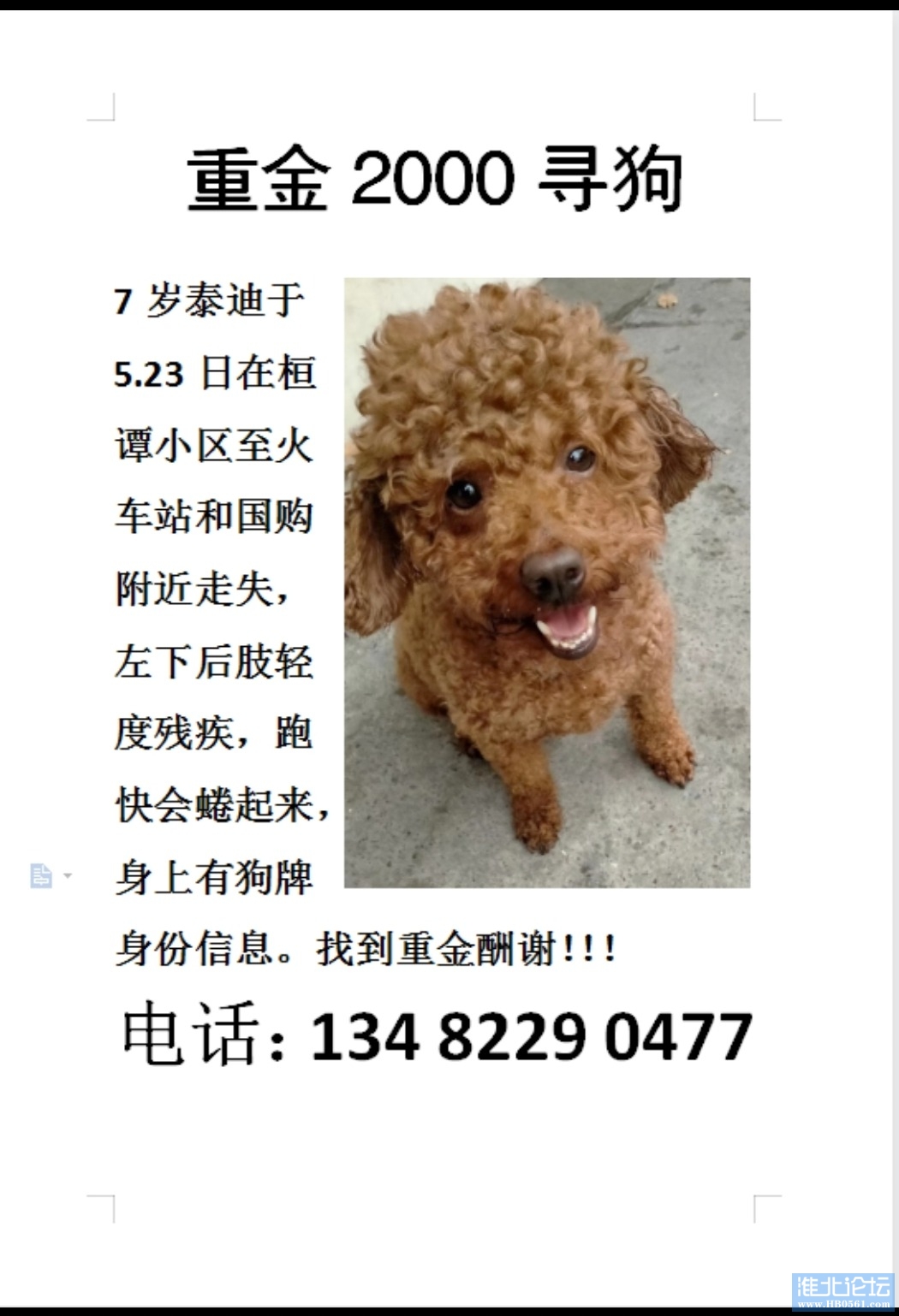 女子高价购买泰迪犬，狗狗因眼线走红——见证成长与自信的力量