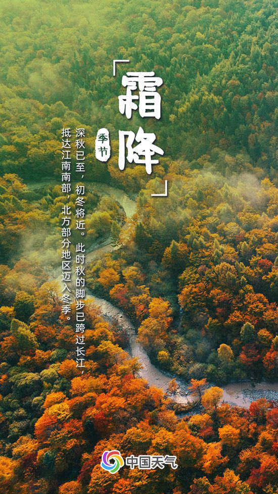 第5533页