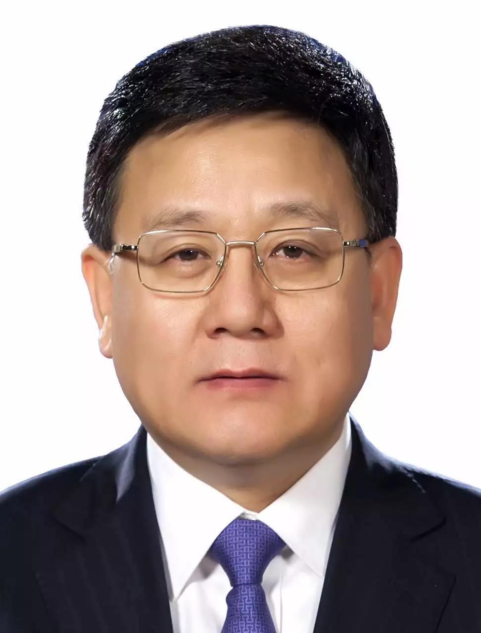 国家信息中心副主任黄勇被查，背后意义与影响的探究