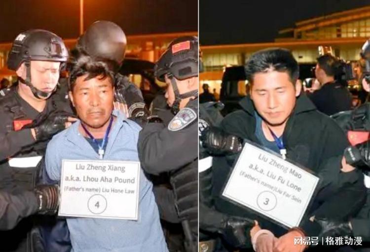 警虎于涛面临四大家族案挑战，逆风破浪，励志前行之路