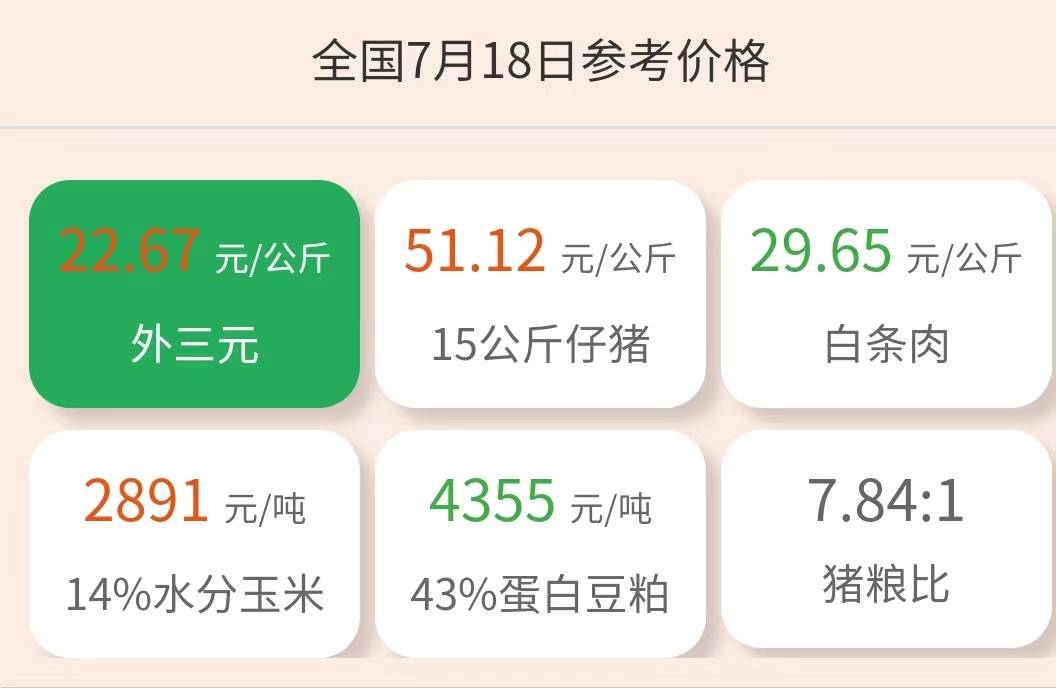 最新今日猪价，小巷深处的猪肉风味探秘