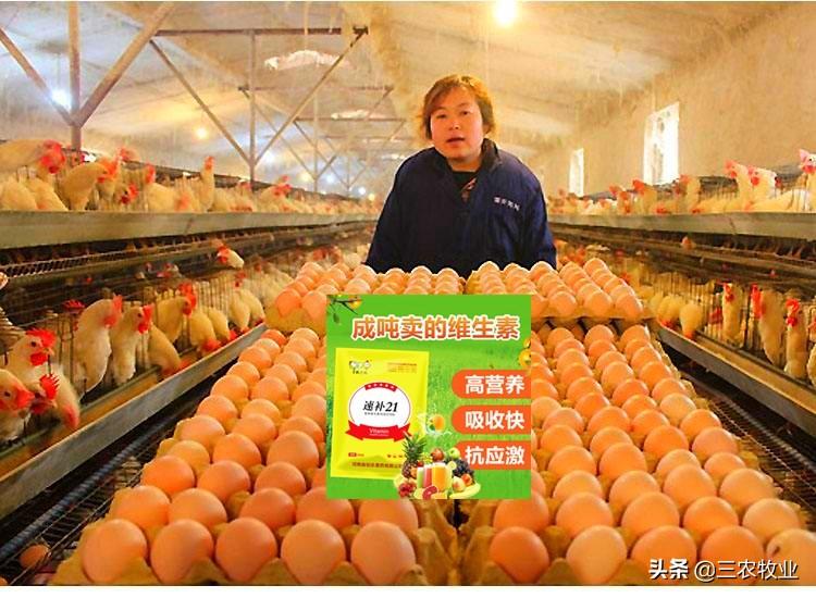 科技重塑养殖产业，饲料最新添加剂引领生活新革命