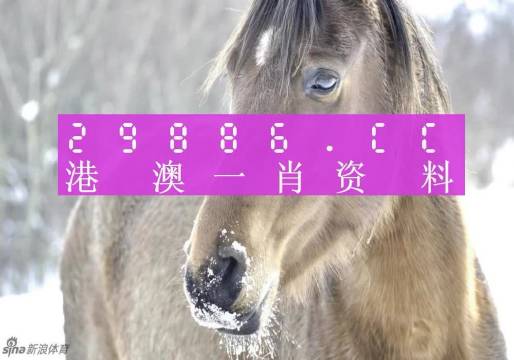 澳门醉逍遥一肖一码,现况评判解释说法_YSR63.307专业版