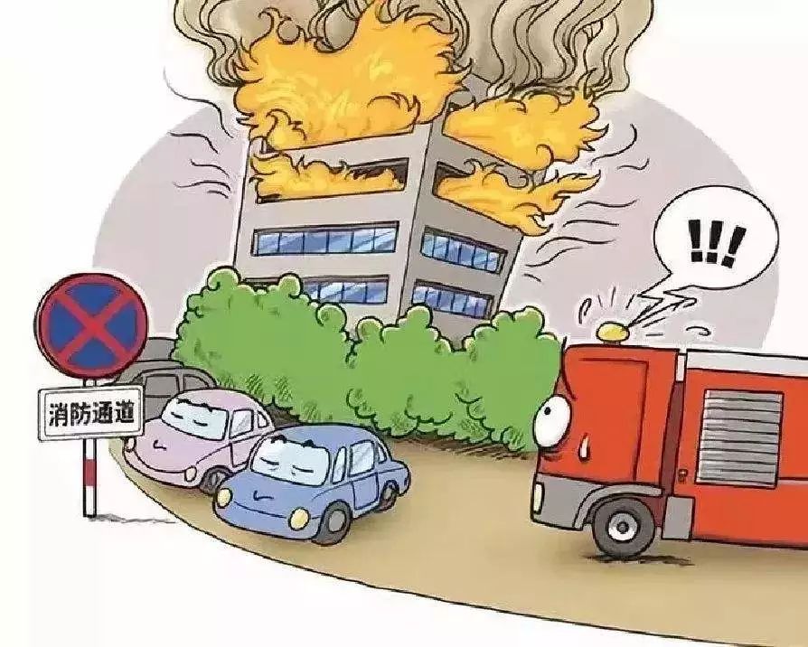 成都车祸深度探究，事故原因分析与应对之策