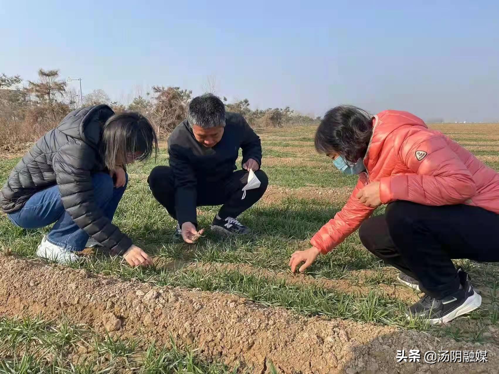 汤阴机场最新动态，飞翔的翅膀，揭示变化的力量