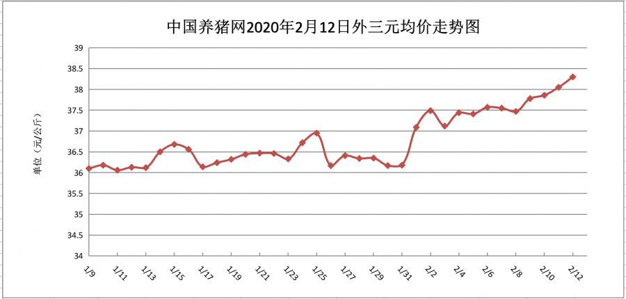 今日最新苗猪价格，友情与陪伴的温馨故事开启