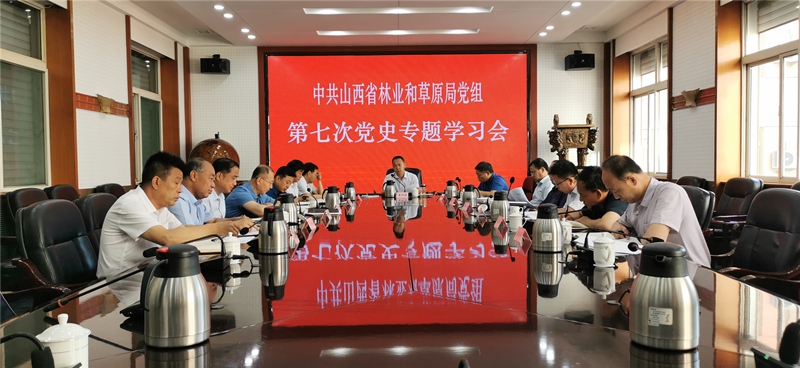 林业最新政策，推动绿色发展的强大动力