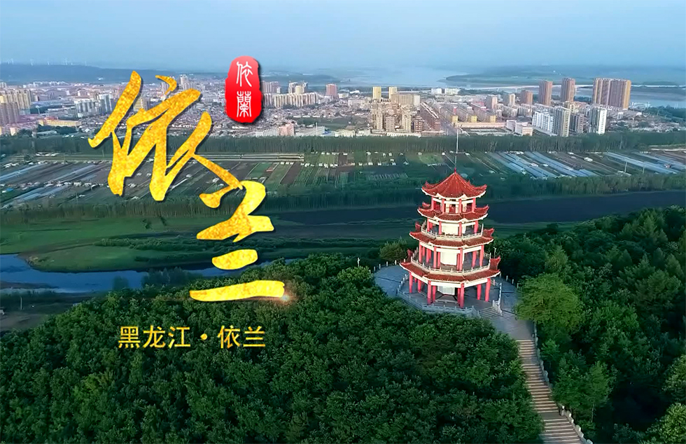 依兰最新动态🌟