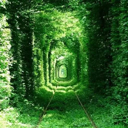 鹏鹞环保最新动态，自然美景探索之旅，寻求内心平和与宁静