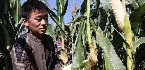 唐山架子管最新价格动态，变化中的学习成就自信之路