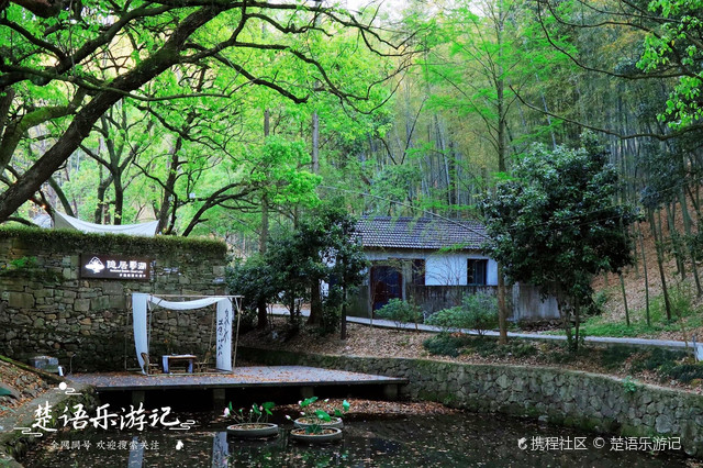 启程探索，电影与自然美景的完美结合，带你寻找内心平静的软件之旅！