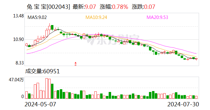 兔宝宝股票最新动态，深度分析与观点阐述